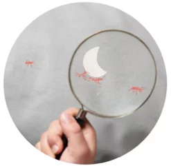 Parure De Lit Chien -LES ENFANTS DU DESIGN Soldes housse de couette chien mimilou r4 1264x1234